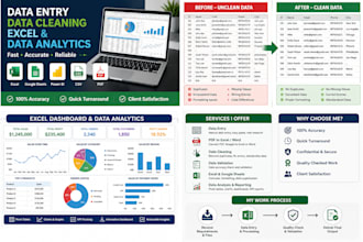 data entry and data analytics specialist