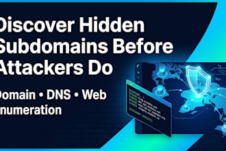 perform domain, subdomain and web asset enumeration