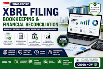 do singapore xbrl filing bookkeeping and financial reconciliation for foreigner