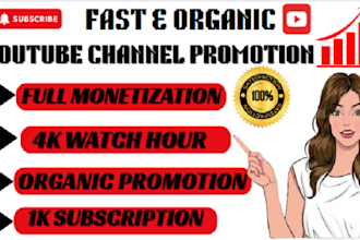 youtube channel promotion, view subscription, complete yt channel monetization