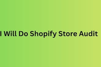 do shopify store audit