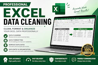 clean, format and organize your microsoft excel data