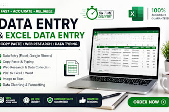 do accurate data entry, excel data entry, copy paste