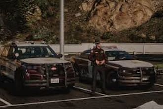 design custom fivem lspdfr ems, fire, law enforcement, or civilian liveries