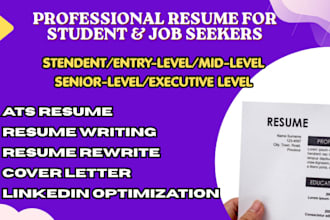 write a professional resume for students and job seekers