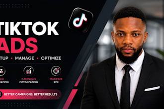 setup tiktok ads, manage tiktok ads, optimize tiktok ads for leads and ROI