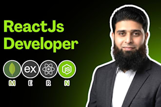 build a react js website as a professional react front end developer