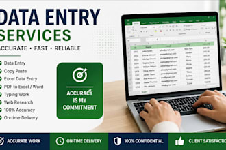 do accurate data enty, copy paste, excel, and web reserach