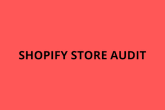 do shopify store audit