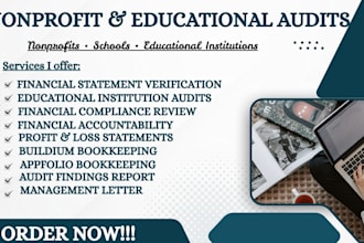 perform nonprofit, school and educational financial audits