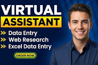do excel data entry and data cleaning and webresearch