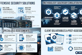 perform red team assessment web penetration testing and security audits