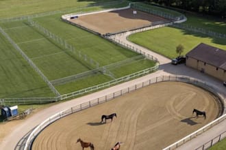 build 3d equestrian center, horse stable and  riding arena design