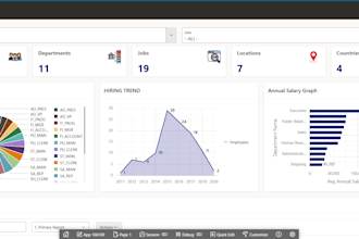 create professional oracle apex dashboards and reports