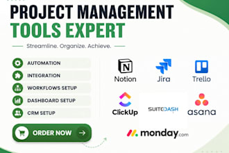 be your notion expert, notion template design, notion crm, clickup asana trello