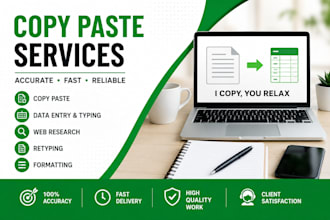 do excel data entry , copy paste, wed research typing