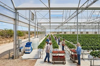 design greenhouse, farm building and agricultural structures poultry farm design