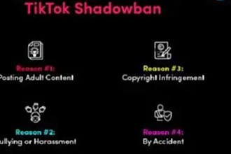 takedown copyright tiktok x ig harassing content,telegram banning, yt fb banning