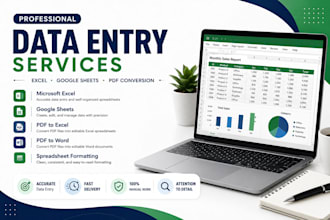 do fast and accurate data entry in excel or google sheets