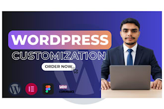 customize your wordpress website