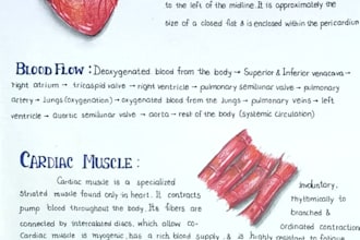 handwrite your academic notes