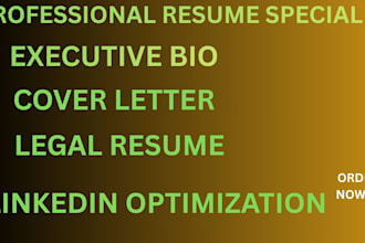 craft you a professional legal resume