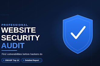 do advanced pentest on your website with professional report