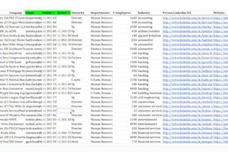 enrich b2b leads with verified business emails and phone numbers