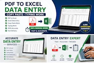 do PDF to excel, exceldata entry and typing work