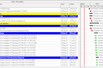 build a logic tied p6 baseline schedule for 250
