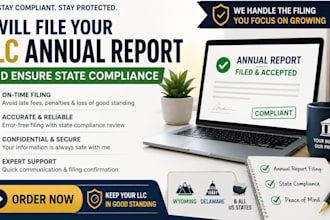file your llc annual report and ensure state compliance