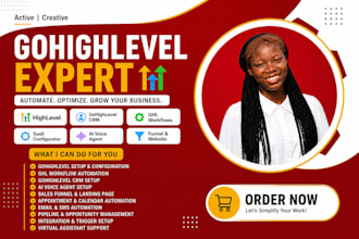 do gohighlevel setup gohighlevel virtual assistant go high level expert ghl va