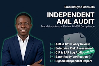 conduct an independent annual aml compliance audit and report for your msb