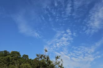 plan your authentic tai chi wellness experience in guangzhou