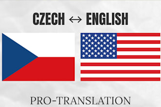 be your professional czech translator for english to czech and vice versa