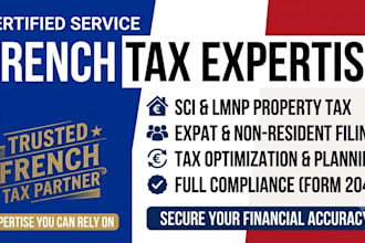 prepare and file your french tax return, income tax declaration, and annual tax