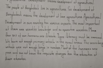provide neat and professional handwriting services