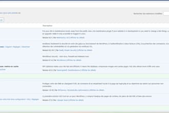 optimize your wordpress website for google SEO