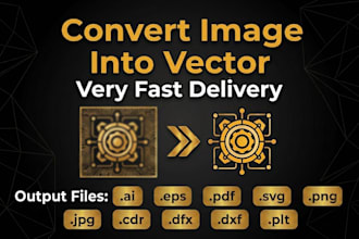 do vector tracing or recreate a image into vector