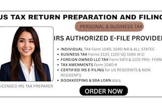 prepare and efile USA tax return for individual and businesses