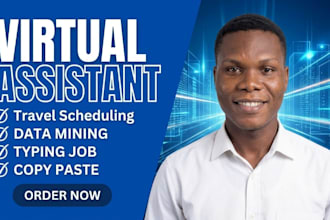your professional virtual assistant for data mining, virtual assistant, VA