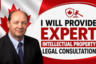 provide expert intellectual property legal consultation