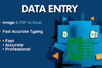 fast bilingual data entry PDF excel images 24 hour delivery