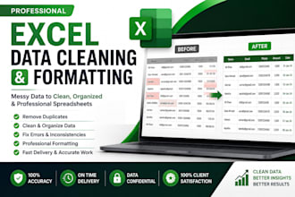 professionally clean organize and format microsoft excel spreadsheets