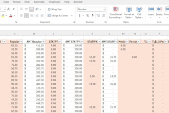 do payroll data entry and payroll reconciliation in excel