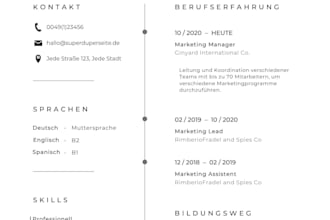 create a professional german CV and cover letter