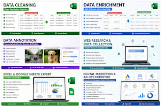 clean, enrich and validate your data professionally