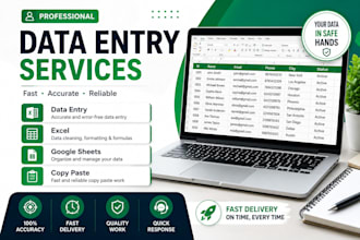 do data entry, data cleaning, excel and google sheets tasks