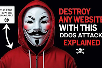 ddos website, ddos attack, website attack, disable website, sql injection