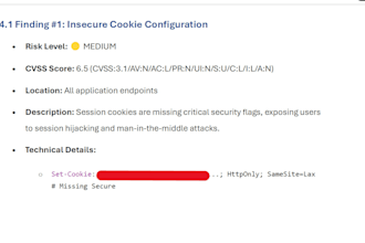 pentest your web application, mobile application, or network
